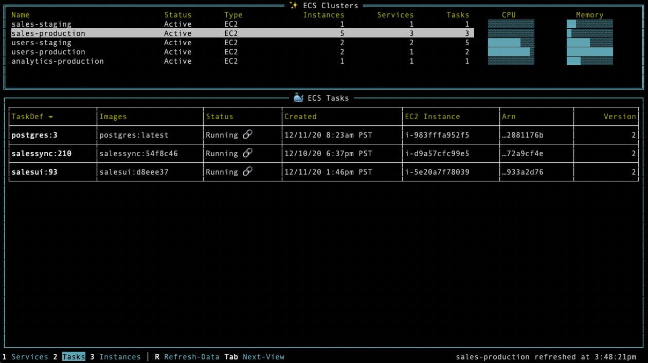 ecsview terminal UI showing an AWS ECS tasks view.